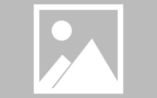 营口招聘官网网页设计教程（招聘官网网页设计教程下载）